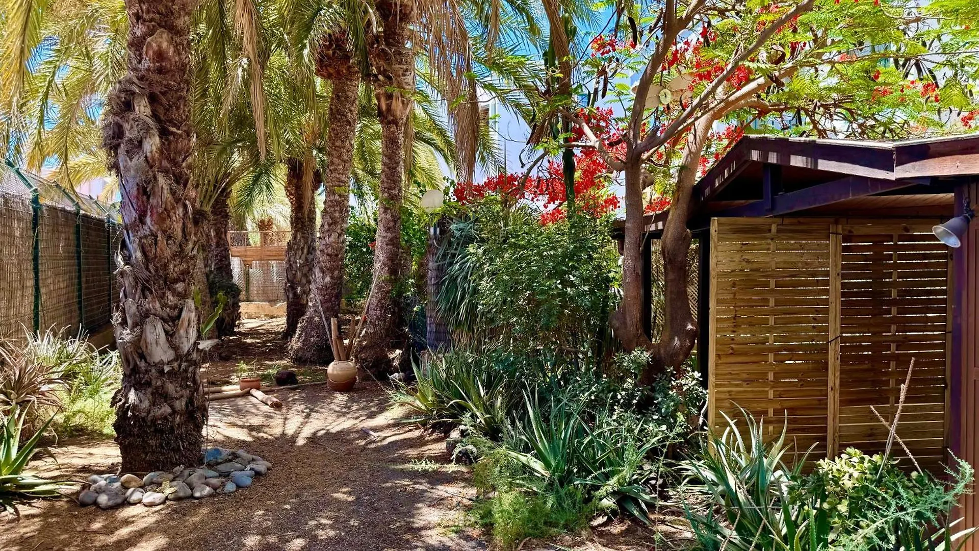 Apartment Gran Canaria Casa Magboss IV I V By Jacek Budek Playa Del Aguila